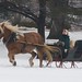Paul Cutter Photo 7