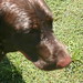 Kendell Murphy Photo 9