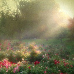 Terri Rogers Photo 26