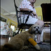 Patsy Jarrett Photo 3