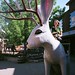 Jennifer Starkey Photo 9