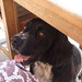 Betty Springer Photo 24