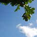 Allison Cloud Photo 16
