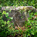 John Alston Photo 30