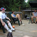 L Wetherbee Photo 8