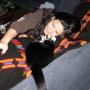 Cynthia Ryan Photo 43
