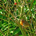 Robin Lux Photo 7