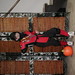 Kevin Geisler Photo 20