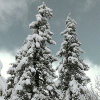 Connie Wallis Photo 7