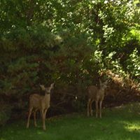 Sheri Cameron Photo 9