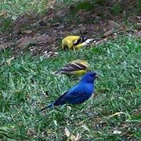 Jane Lassiter Photo 15