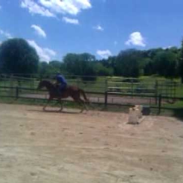Renee Meissner Photo 5