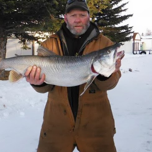 Randy Nielsen Photo 37