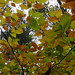Vicki Byrd Photo 16
