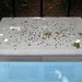 Betsy Richardson Photo 36
