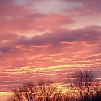 Carol Courson Photo 1