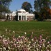 Virginia Griggs Photo 13