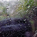 Dina Fernandes Photo 10