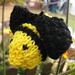 Carol Bee Photo 4