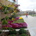 Thomas Toomey Photo 17