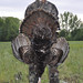 Scott Hunt Photo 14