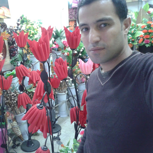 Hani Ahmade Photo 3