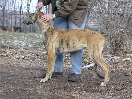 Linda Phipps Photo 34