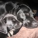 Minnie Foster Photo 3