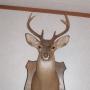 Susan Holley Photo 20