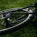 James Catton Photo 9