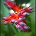 Anna Whitcomb Photo 12