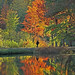 Autumn Walker Photo 31
