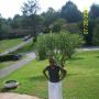Eliza Johnson Photo 26