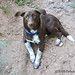 Deborah Willard Photo 17