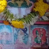 Parthasarathy Narayanan Photo 12