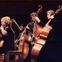 Carol Willis Photo 29