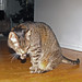 Samantha May Photo 13