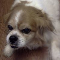 Jackie Hendrix Photo 14