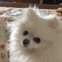 Debbie Bybee Photo 6