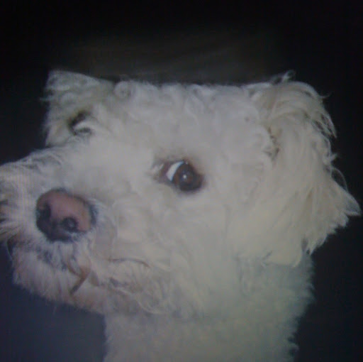Samantha Clarke Photo 8