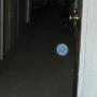 Laurie Powers Photo 27