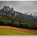 Concepcion Nieves Photo 1