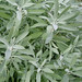 Nancy Sager Photo 9