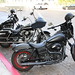 Robert Rossi Photo 41