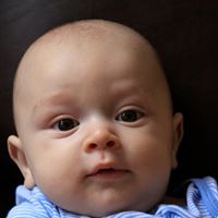 Lucas Parker Photo 16