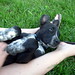 Amy Poole Photo 22