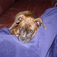 John Garrison Photo 41