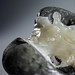 Tom Fitzsimons Photo 11
