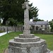 Tracey Starkey Photo 6