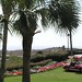 Ann Ogle Photo 11